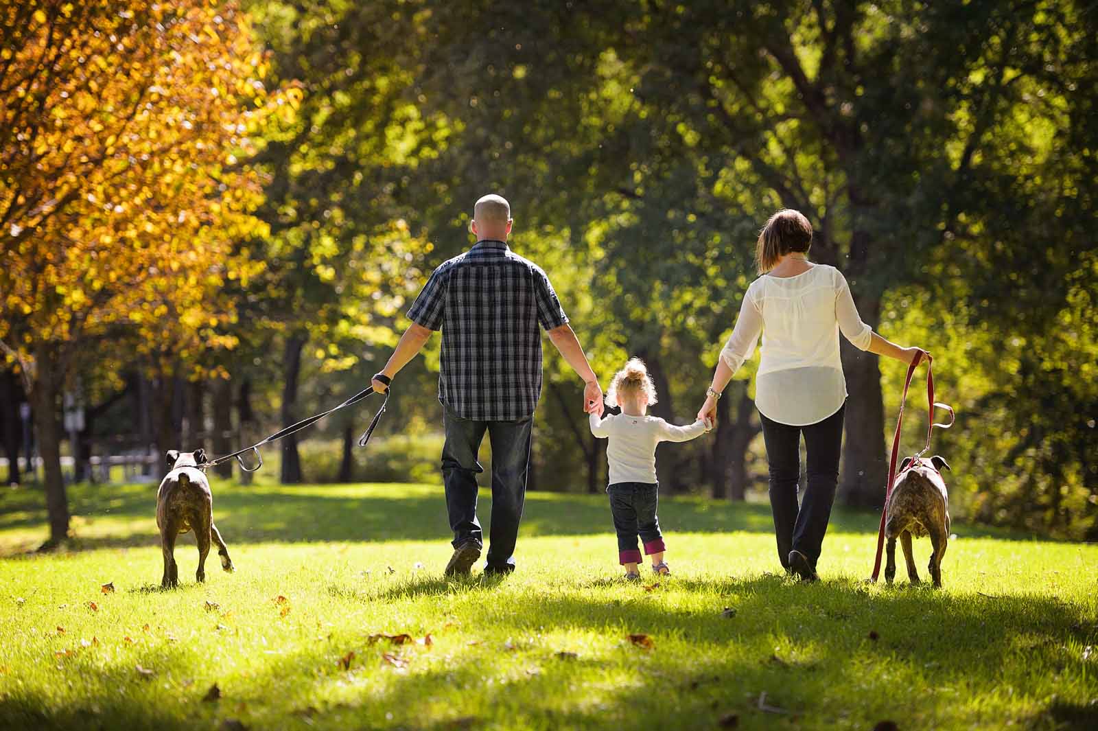 Ottawa Dog & Pet Photography · elizabeth&jane photography