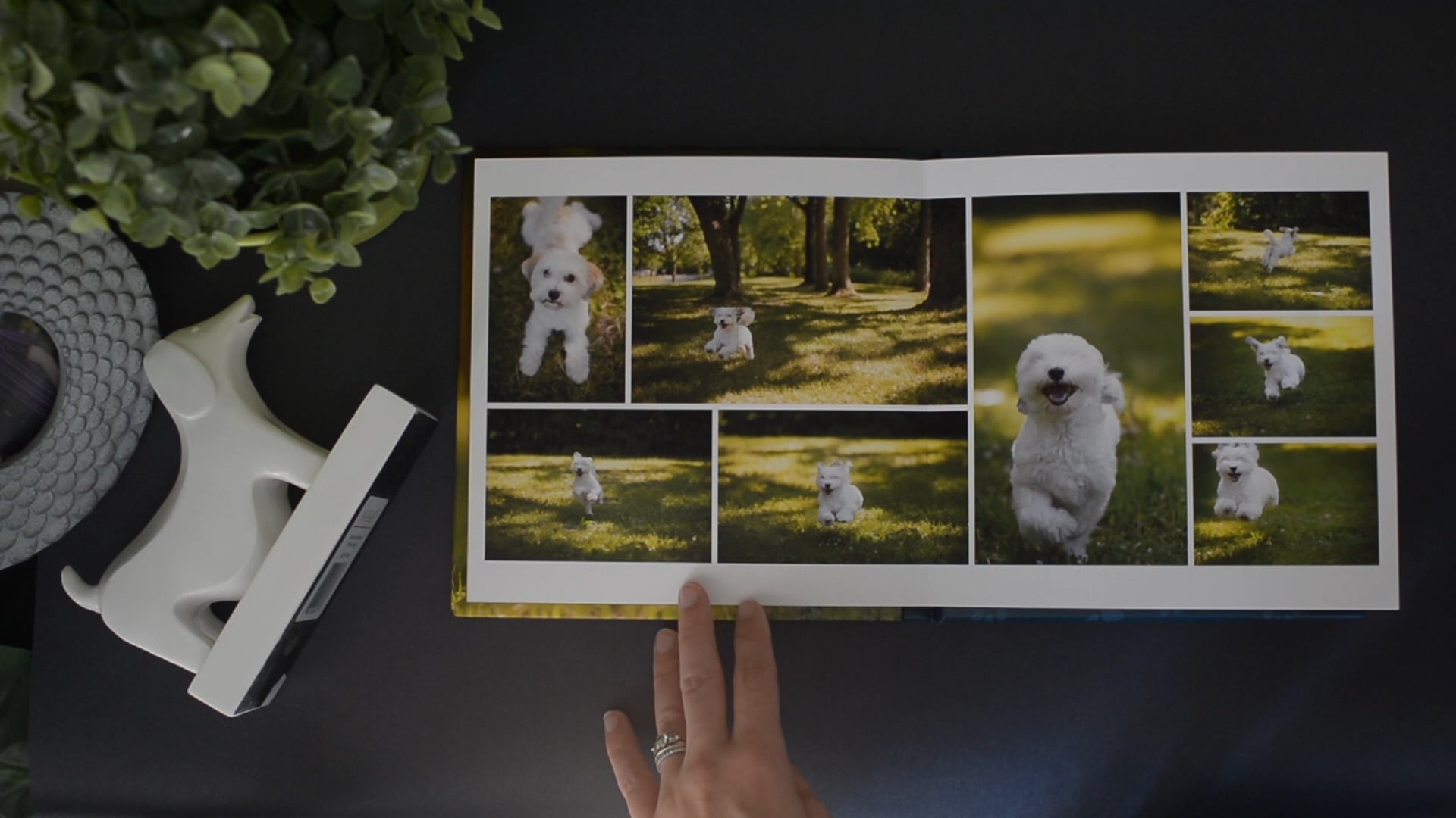 Press to watch a full pet album flip-through
