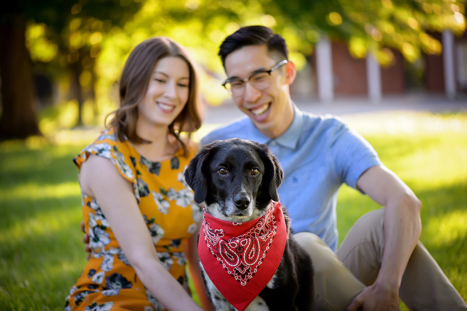 A couple sitting with their dog on a warm summers evening in Ottawa for their engagement session