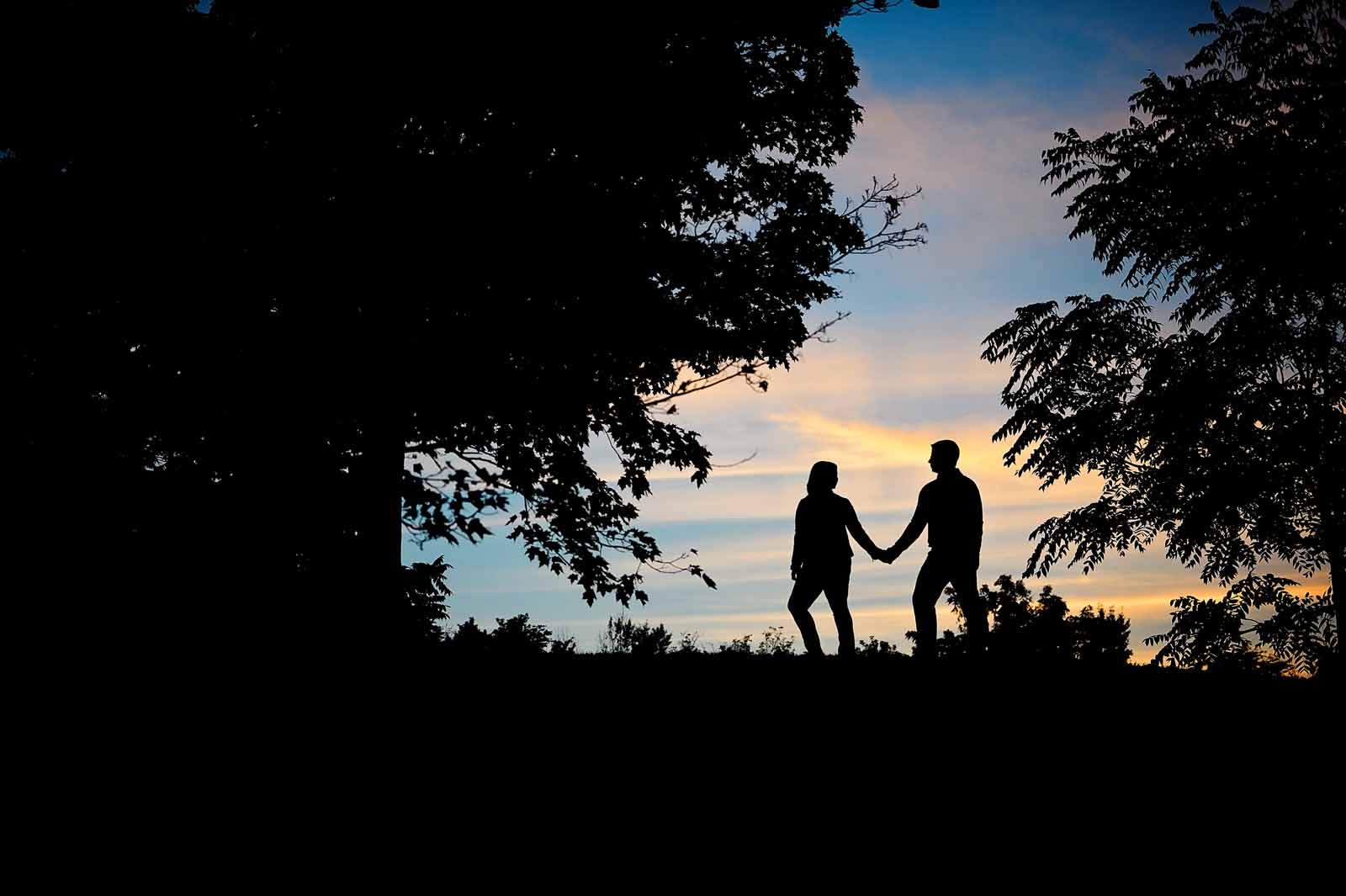 A silhouetted image of a couple walking at their engagement session at the Arboretum in Ottawa