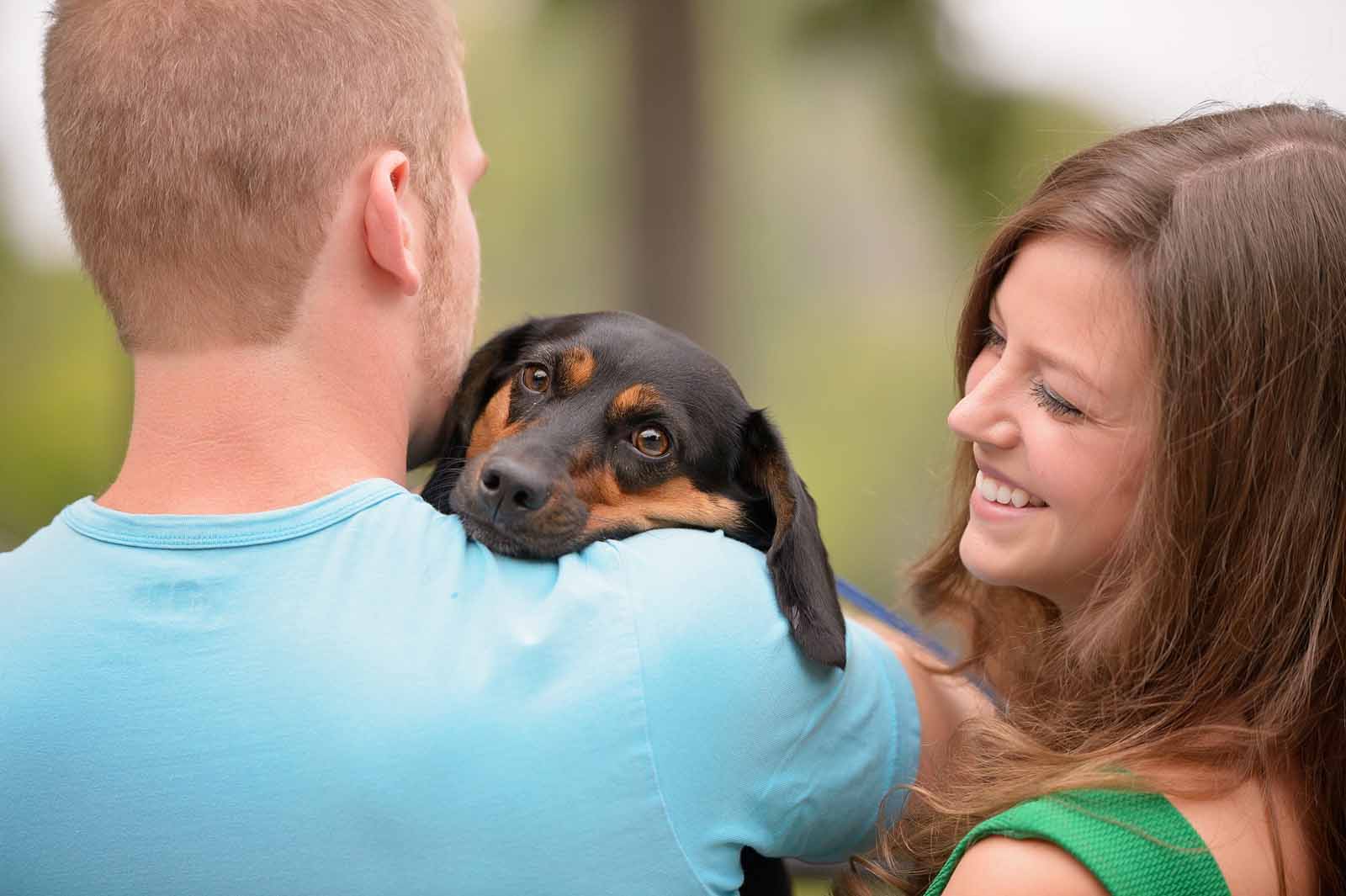 A dog having a sweet cuddle with its engaged owners at Hog’s Back Park in Ottawa