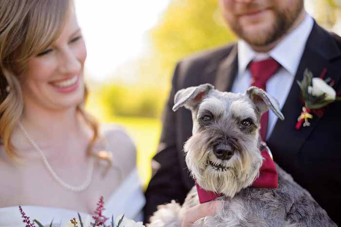 Bride and Groom with their dog on their wedding day at Britannia Beach Park