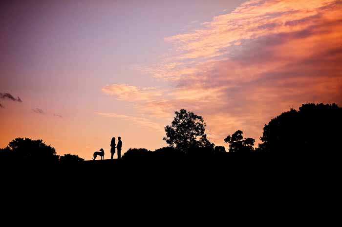Engagement session sunset image with their great dane dog at the Arboretum